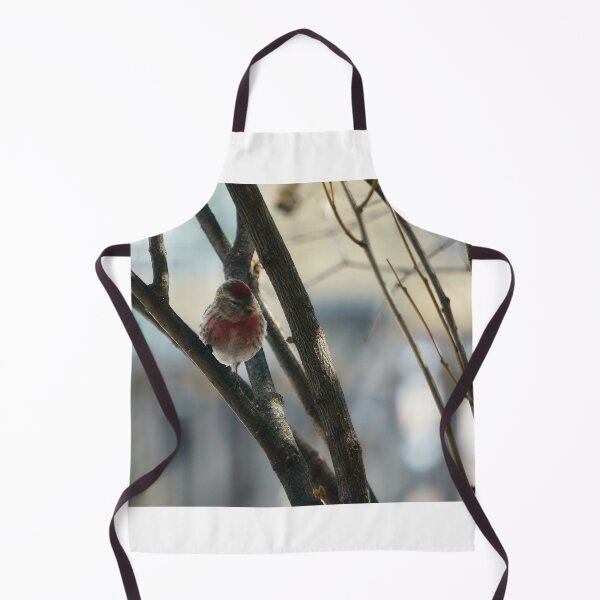 Item preview, Red Pol Perched on a Leafless Branch designed and sold by Vivar Photo.