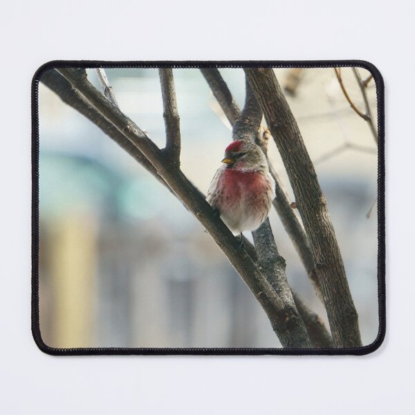 Item preview, Bright Red Pol on Bare Branches designed and sold by Vivar Photo.