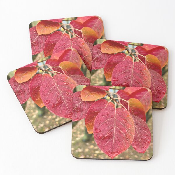 Item preview, After The Downpour designed and sold by Lana Magnolia.