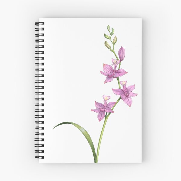 Item preview, Tuberous Grasspink designed and sold by JadaFitch.
