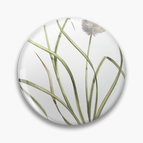 Item preview, Tawny Cottongrass designed and sold by JadaFitch.