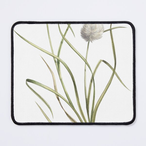 Item preview, Tawny Cottongrass designed and sold by JadaFitch.