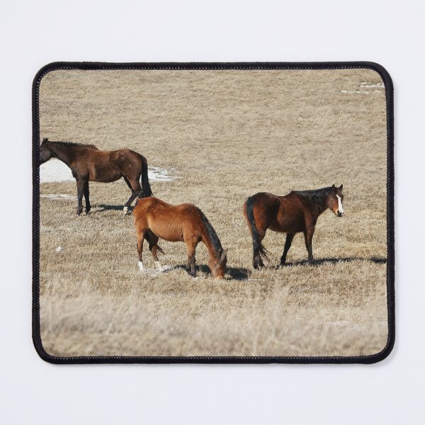 Item preview, Four Horses in Early Spring designed and sold by Vivar Photo.