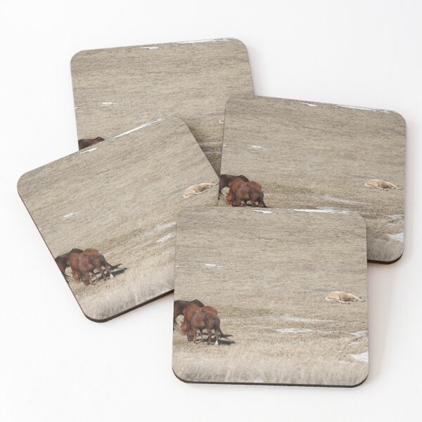 Item preview, Horses Grazing in a Dry Field designed and sold by Vivar Photo.