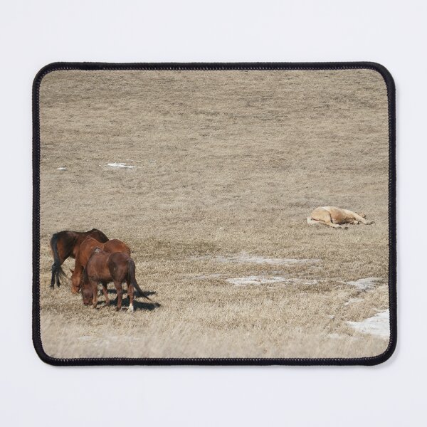 Item preview, Horses Grazing in a Dry Field designed and sold by Vivar Photo.