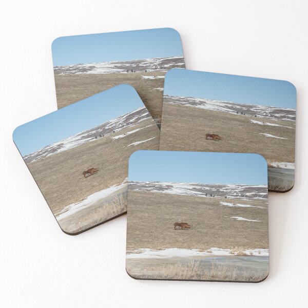 Item preview, Brown Horses by a Frozen Pond designed and sold by Vivar Photo.