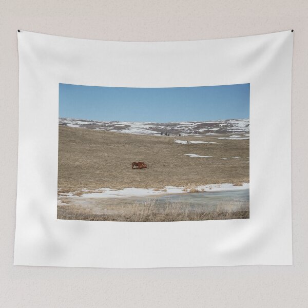 Item preview, Brown Horses by a Frozen Pond designed and sold by Vivar Photo.