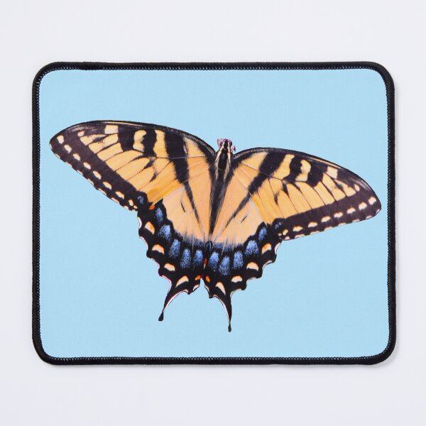 Item preview, Eastern Tiger Swallowtail designed and sold by Phelan's Photos.
