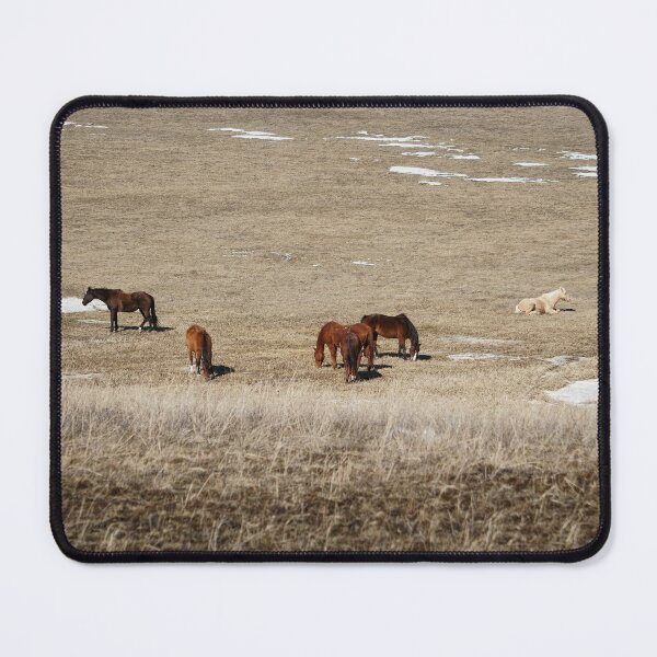 Item preview,  Small Horse Herd Grazing on a Winter Plain designed and sold by Vivar Photo.