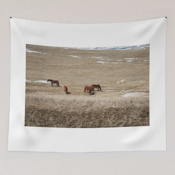 Item preview,  Small Horse Herd Grazing on a Winter Plain designed and sold by Vivar Photo.