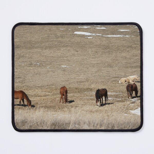 Item preview, Horses Grazing on a Late Winter Field designed and sold by Vivar Photo.