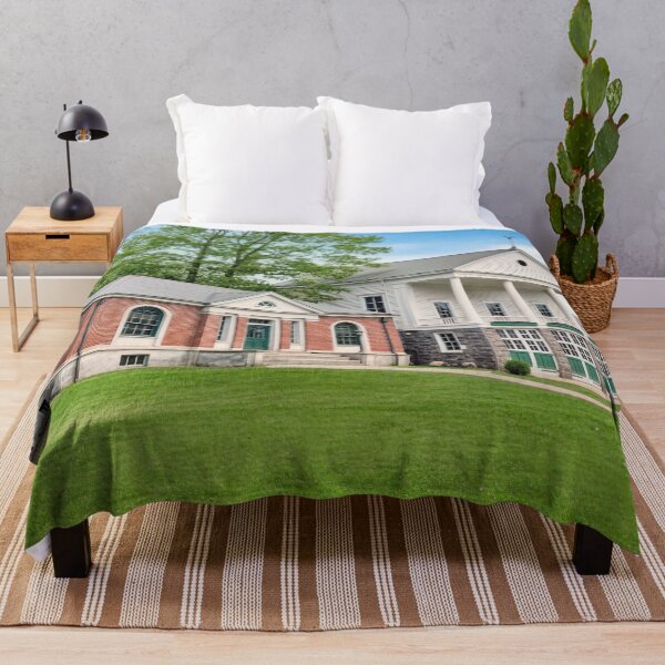 Item preview, Dual-Style Boro Hall & Firehouse with Colonial & Brick Architecture designed and sold by plugsnpixels.