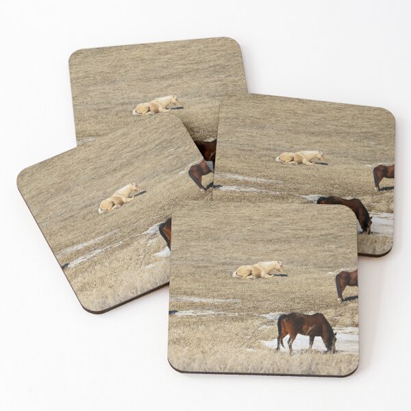Item preview, Horses in an Open Field with Snow Patches designed and sold by Vivar Photo.
