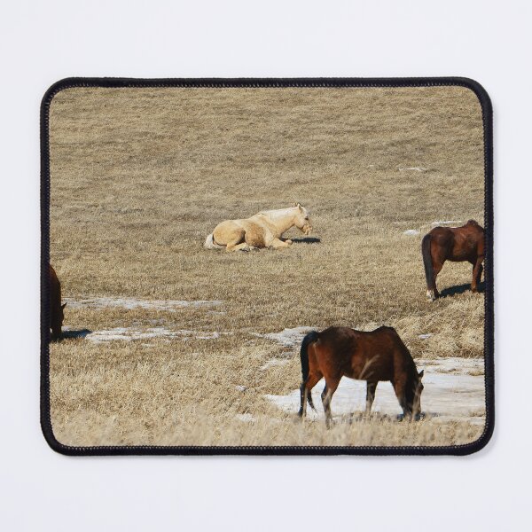 Item preview, Horses in an Open Field with Snow Patches designed and sold by Vivar Photo.
