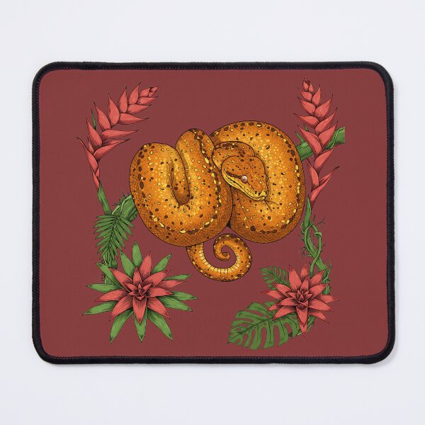Item preview, Amazon Tree Boa with Tropical Bromeliads designed and sold by BirdsnStuff.