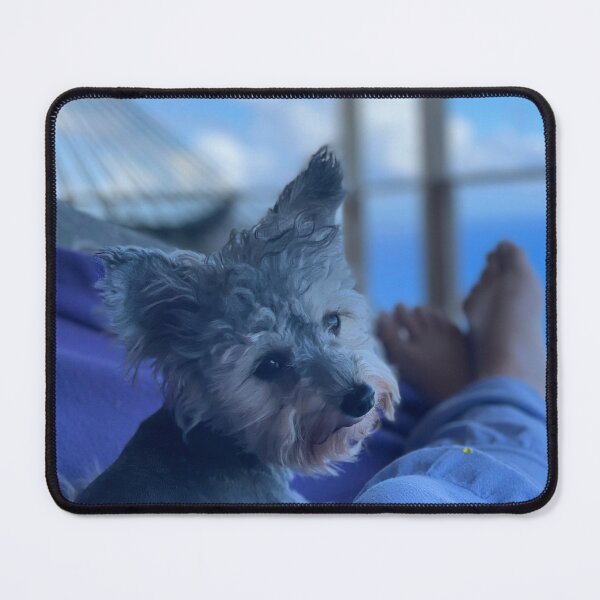 Item preview, Tiny Gray Dog Relaxing Outdoors designed and sold by TrisaThyme.