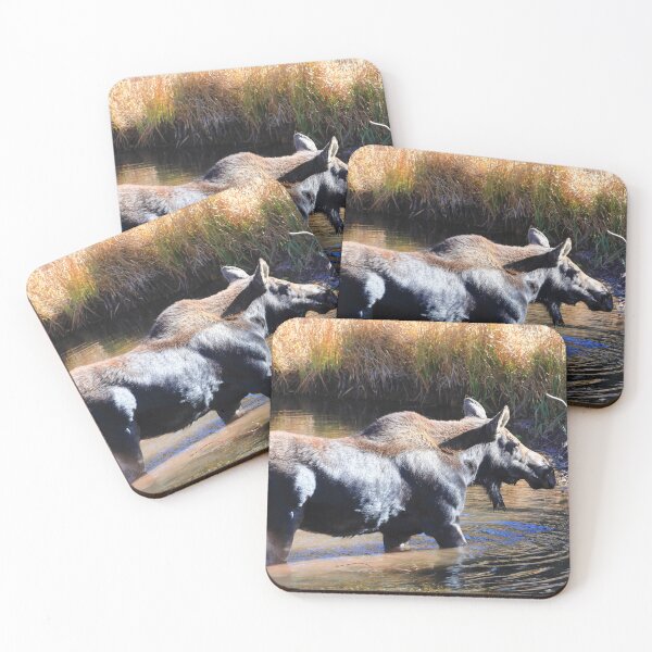Item preview, Moose in the lake III designed and sold by zumi.