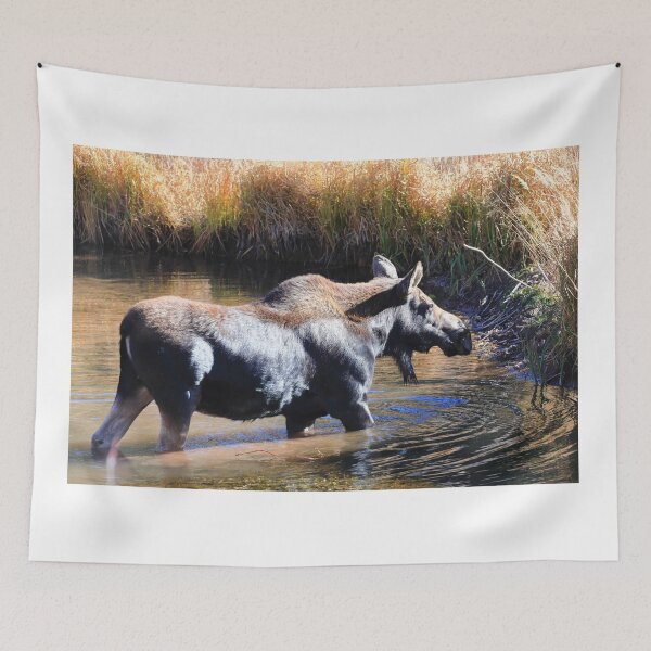 Item preview, Moose in the lake III designed and sold by zumi.
