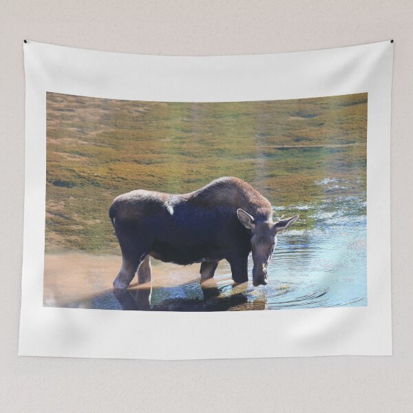 Item preview, Alce en el lago IV designed and sold by zumi.