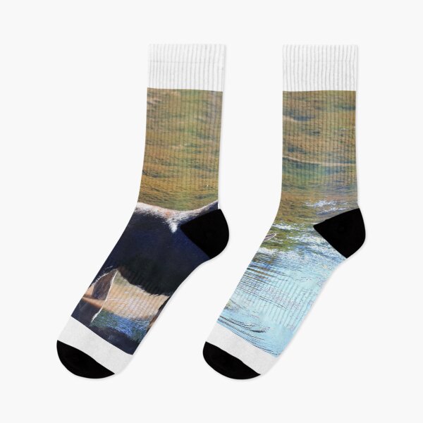Item preview, Moose in the lake IV designed and sold by zumi.