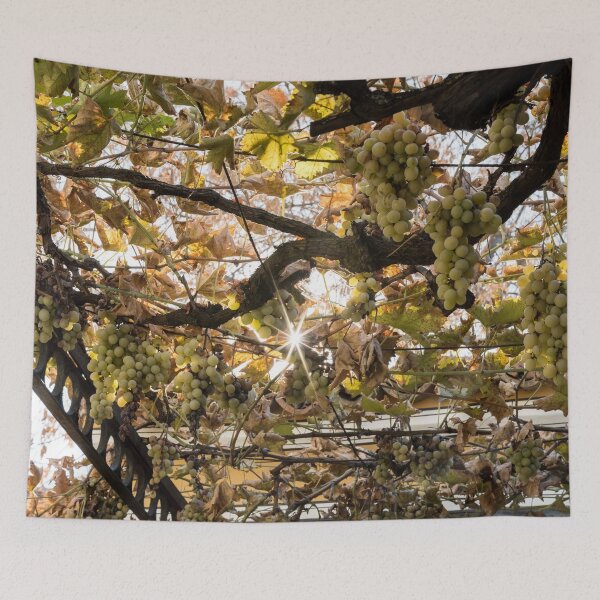 Item preview, Sunlit Grapevine in Autumn designed and sold by Georgia Mizuleva.
