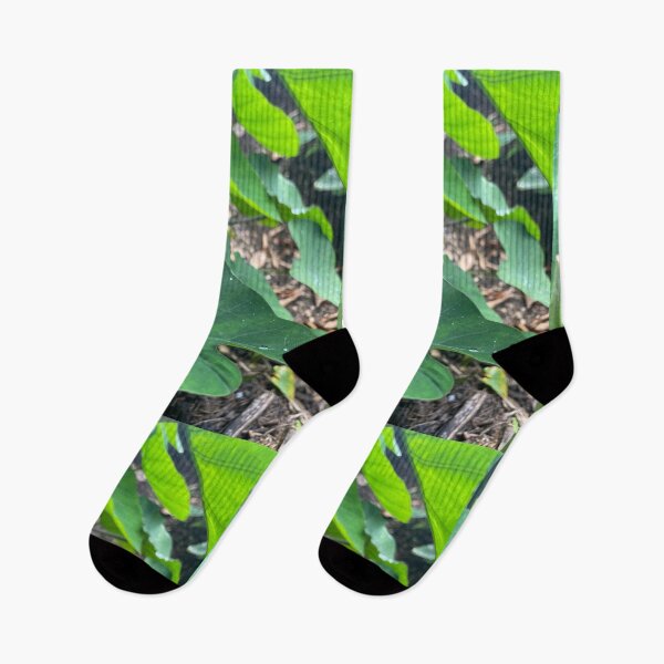 Item preview, Water Droplet on Tropical Green Leaf designed and sold by TrisaThyme.