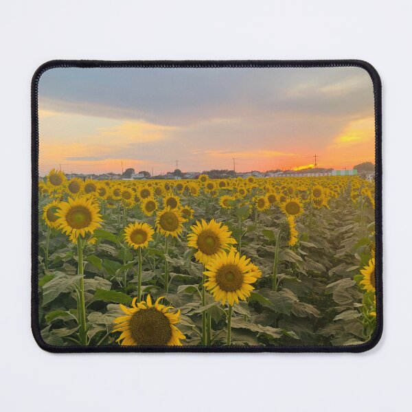 Item preview, sunflower designed and sold by NaTa92.