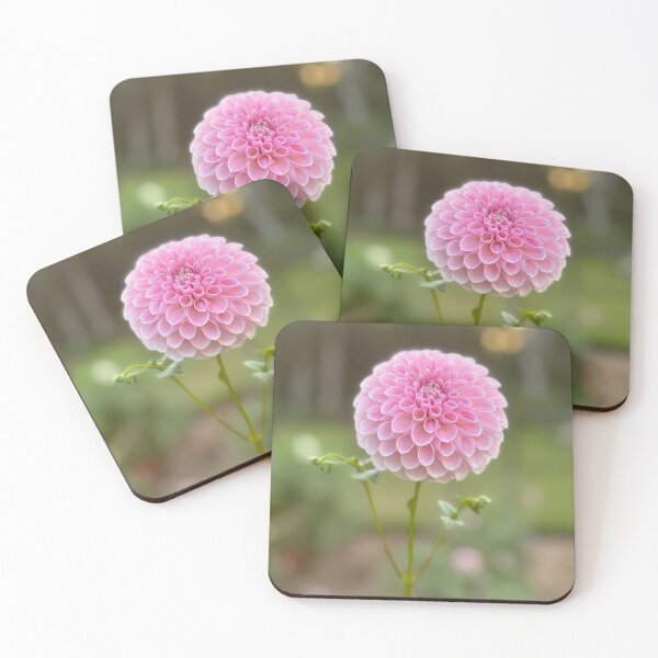 Item preview, Serenade Aria designed and sold by Serenade Dahlias.