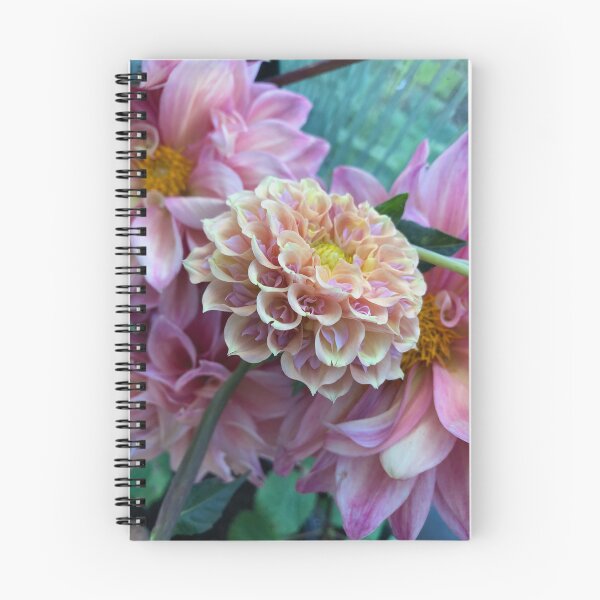 Artikelvorschau, Serenade Neugier entworfen und verkauft von Serenade Dahlias.