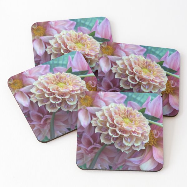 Item preview, Serenade Curiosity designed and sold by Serenade Dahlias.