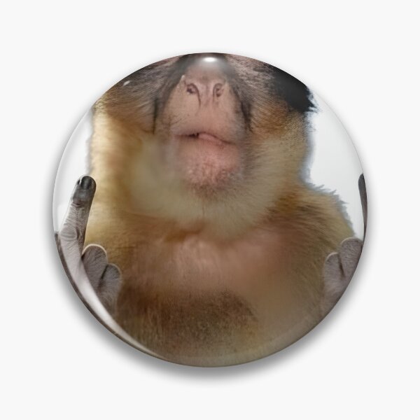 Item preview, monkey meme designed and sold by KavozStudio.