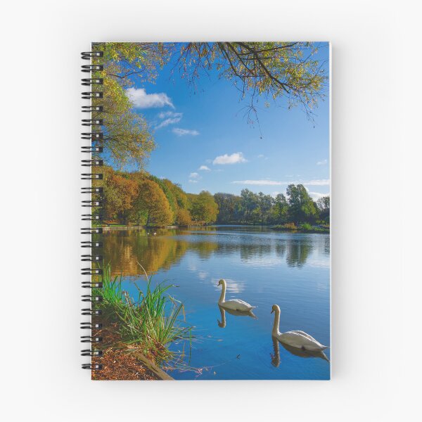 Item preview, Hoyle Mill Pond Barnsley designed and sold by Alisonchambers2.