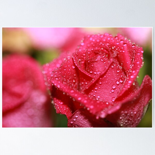 Item preview, Roseart designed and sold by rachiecandice.