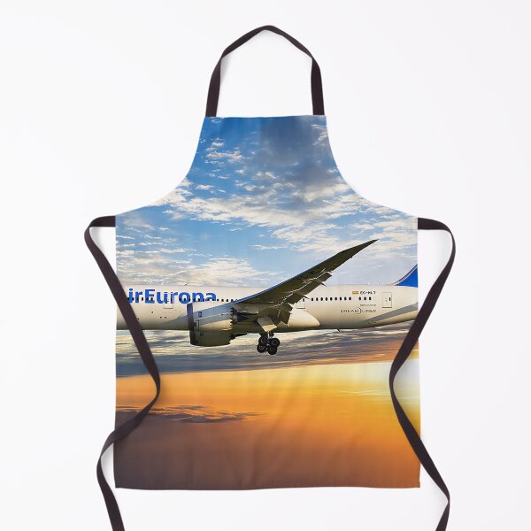 Item preview, Air Europa Boeing 787-8 Dreamliner designed and sold by Skyframe Aviation.