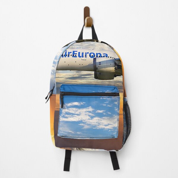 Item preview, Air Europa Boeing 787-8 Dreamliner designed and sold by Skyframe Aviation.