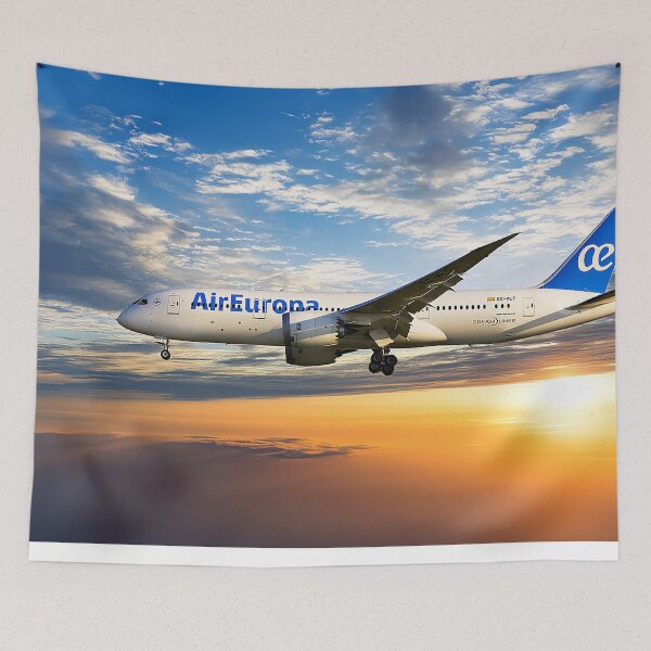 Item preview, Air Europa Boeing 787-8 Dreamliner designed and sold by Skyframe Aviation.