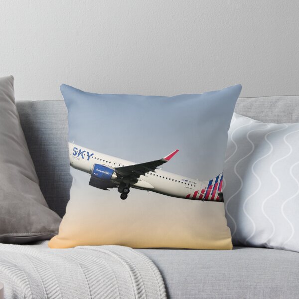 Item preview, SKY express Airbus A320-251N designed and sold by Skyframe Aviation.