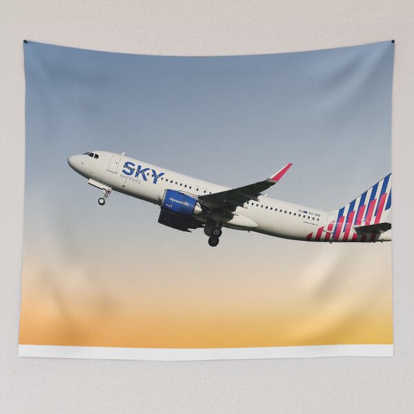 Item preview, SKY express Airbus A320-251N designed and sold by Skyframe Aviation.
