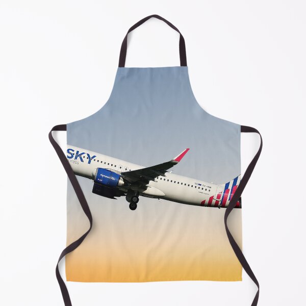Item preview, SKY express Airbus A320-251N designed and sold by Skyframe Aviation.