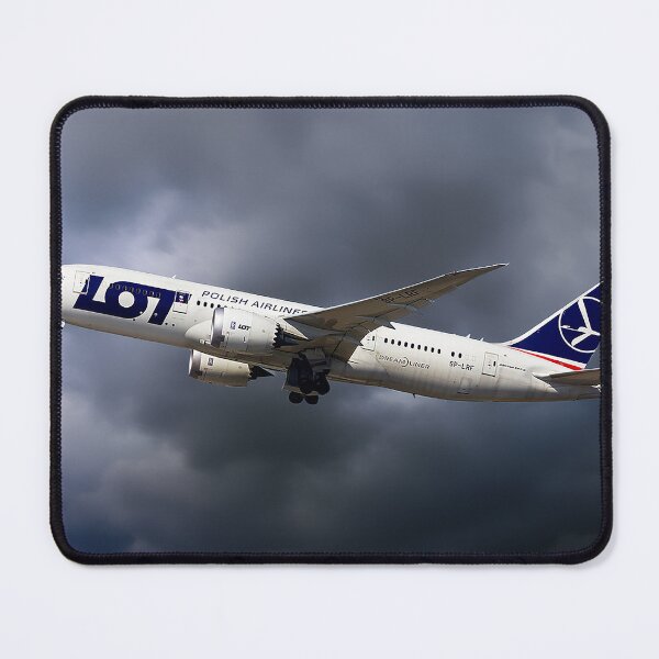 Item preview, LOT Boeing 787-8 Dreamliner designed and sold by Skyframe Aviation.
