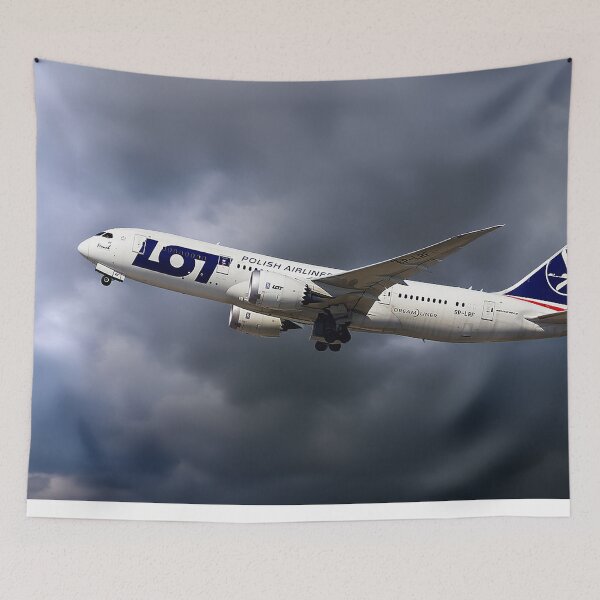 Item preview, LOT Boeing 787-8 Dreamliner designed and sold by Skyframe Aviation.