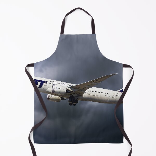 Item preview, LOT Boeing 787-8 Dreamliner designed and sold by Skyframe Aviation.
