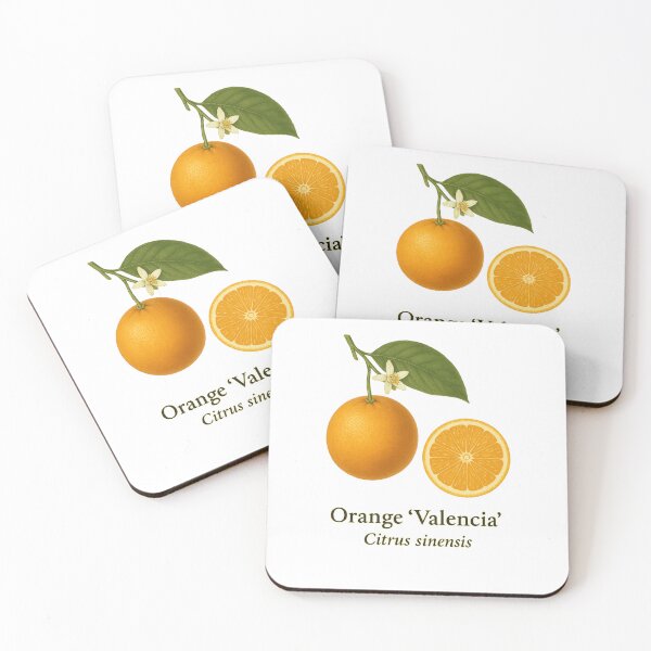 Item preview, Orange ‘Valencia’ – Classic Sweet Juice Variety designed and sold by BloomKind.