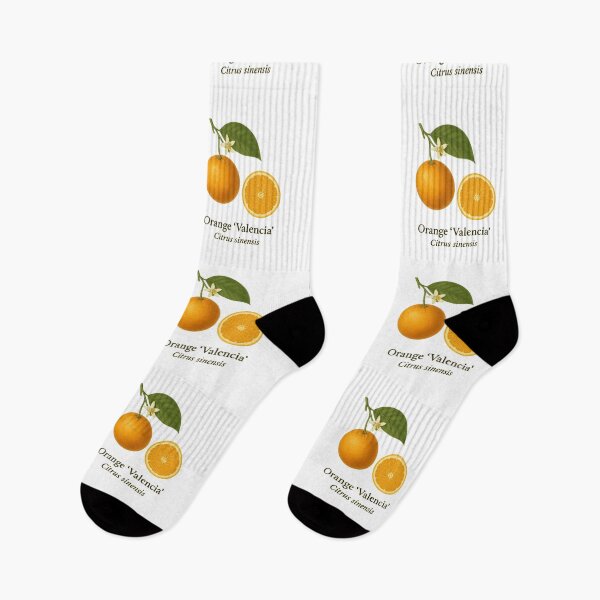 Item preview, Orange ‘Valencia’ – Classic Sweet Juice Variety designed and sold by BloomKind.