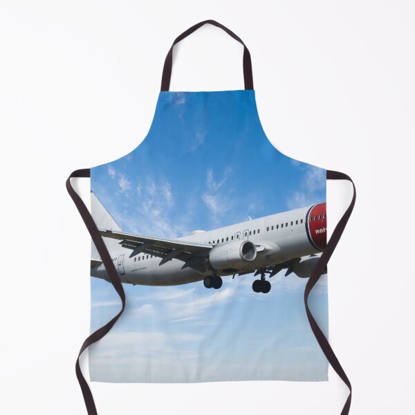 Item preview, Norwegian Boeing 737-8JP designed and sold by Skyframe Aviation.