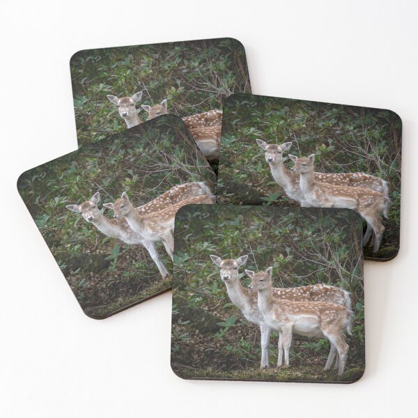 Item preview, Fallow Deer doe and Fawn, Lochbuie designed and sold by CEastwoodPhotos.
