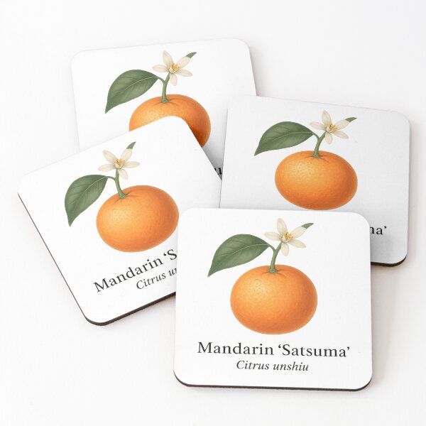 Item preview, Mandarin ‘Satsuma’ – Sweet Seedless Citrus Variety designed and sold by BloomKind.