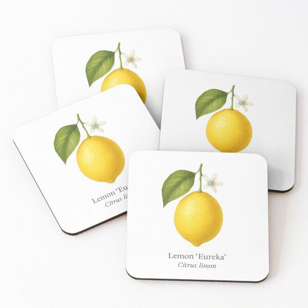 Item preview, Lemon ‘Eureka’ – Classic Bright Yellow Variety designed and sold by BloomKind.