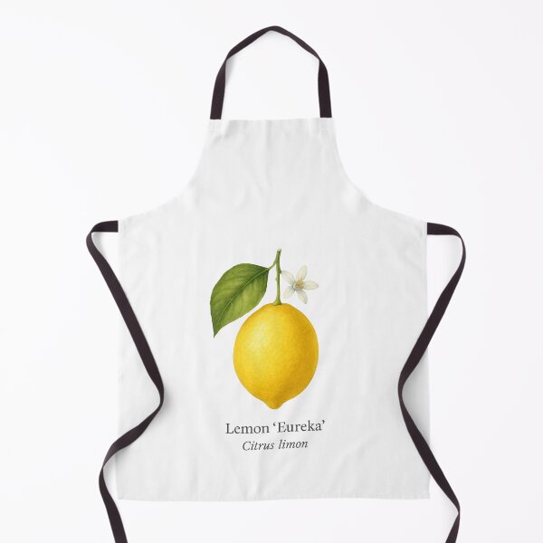 Item preview, Lemon ‘Eureka’ – Classic Bright Yellow Variety designed and sold by BloomKind.