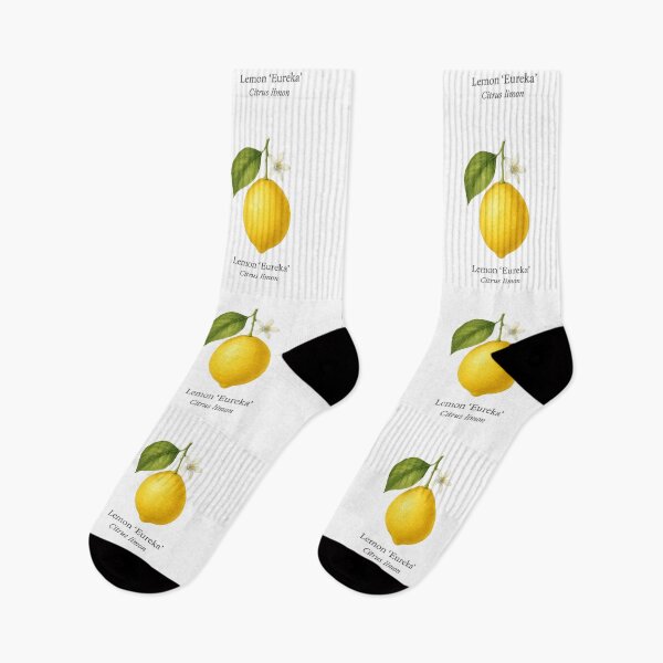 Item preview, Lemon ‘Eureka’ – Classic Bright Yellow Variety designed and sold by BloomKind.